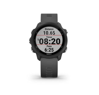 Forerunner 245 slate hot sale