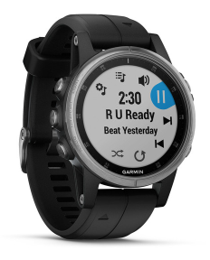 Garmin Fenix 5S Plus